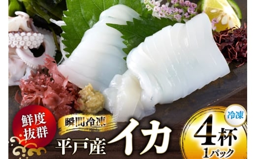 CN  CJ 4t 1pbNiⓀj [ډY 茧 ˎs hr42bgy420424] VN hg uԗⓀ Ⓚ RR  Ⓚ  ^pbN茧ˎs28800ECYCJE^REEj