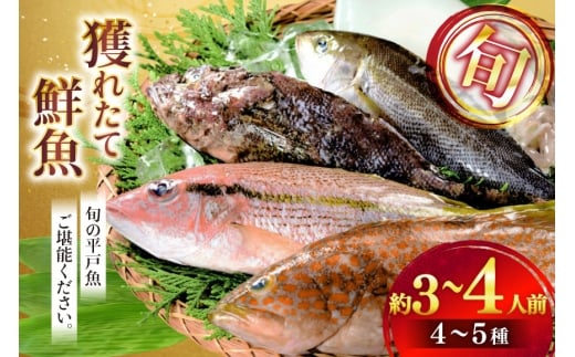 N lߍ킹 {̊lꂽđN 4 ~ 5  [ЂǐVNs 茧 ˎs hr42bgy400123] Ⓚ Ⓚ  NZbg Nlߍ킹 CN   VN  Ȓ茧ˎs13200