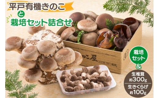 ̂  炰 őۏ ő 炰 Zbg [̂ 茧 ˎs hr42bgy410092] L@ L@JAS L@͔| L@̂ L@ ͔|Lbg ͔|Zbg Mtg Zbg