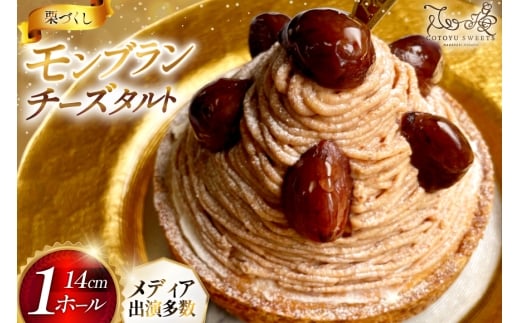 u P[L u^g 1z[ 14cm [SD-Cotoyu Sweets- 茧 ˎs hr42bgy420008] I  } ^g a َq XC[c J 񂹒茧ˎs13200َqEXC[