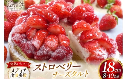  ^g Xgx[ `[Y ^g 1z[ 18cm [SD-Cotoyu Sweets- 茧 ˎs hr42bgy420016]  C`S P[L XC[c J a茧ˎs24000َqEXC[cP[LEJXe