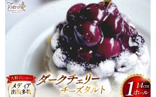 P[L ^g ґ _[N`F[ ^g 1z[ 14cm [SD-Cotoyu Sweets- 茧 ˎs hr42bgy420097] AJ `F[ TN{  t[c ʕ Ղ XC[c J a