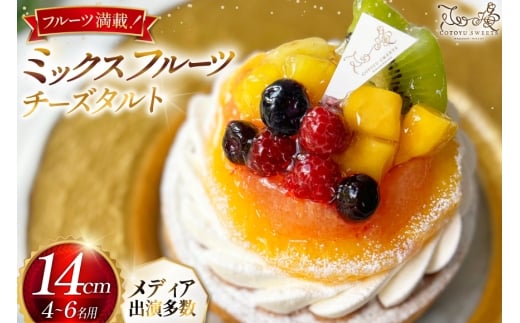 ʕ P[L ~bNX t[c `[Y ^g 1z[ 14cm [SD-Cotoyu Sweets- 茧 ˎs hr42bgy420178] XC[c Ղ k z[P[L a茧ˎs13200َqEXC[cP[LE