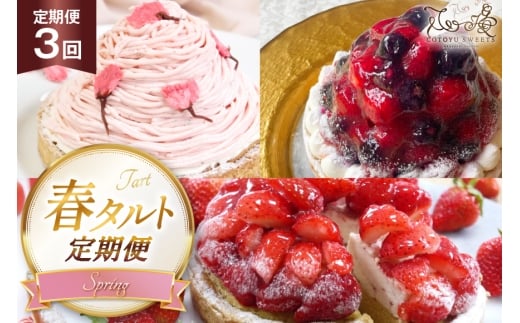  P[L t ^g 3 1z[ 14cm 3  v3z[ [SD-Cotoyu Sweets- 茧 ˎs hr42bgy420476]  C`S   P[L XC[c x[ J a茧ˎs39600َq