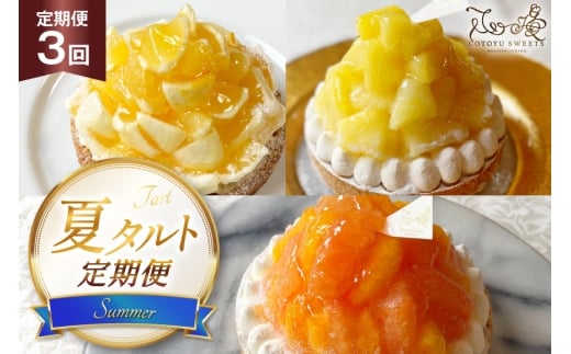 t[c ^g č pC IW & sNO[vt[c e 1z[ 14cm 3  v3z[ [SD-Cotoyu Sweets- 茧 ˎs hr42bgy420354] ʕ k pCibv IW P[