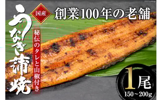 n100N̖ V̊ 1 150`200g `̃^ƎRt / 싛 Ђ܂  }s}s10000ECYȂ