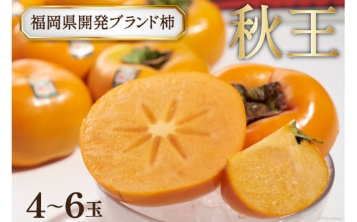 yԌ蔭zx TNTNƂH ` ! J uh` uHv4`6 [썑t[c  }s 21760121] ʕ t[c }s15000ʕEt[c