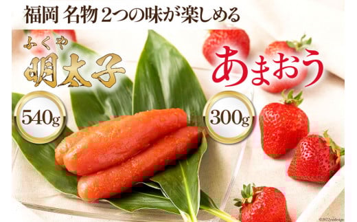 yԌ蔭z   2̖y߂ ! ܂ 300g×1 & ӂ□̖q 540g×1 [썑t[c  }s 21760206]   C`S q t[c ʕ  Zbg
