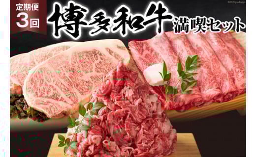 y3  z a A4ȏ iZbg v1.75kg / MEAT PLUS /  }s [21760276]  a јa Ⓚ}s40000