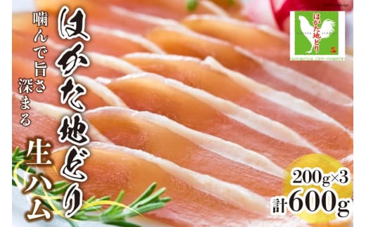 ͂ nǂ n Zbg 200g×3p v600g / MEAT PLUS /  }s [21760467] {n n{ n  ܂ yؕ}s10000HinE\[Z[Wj