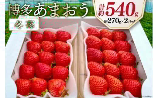 st y ܂ z  270g×2p / GC`Aht[`[Y /  }s [21760471] ʕ t[c  C`S  ̂ VN}s9000ʕEt[c