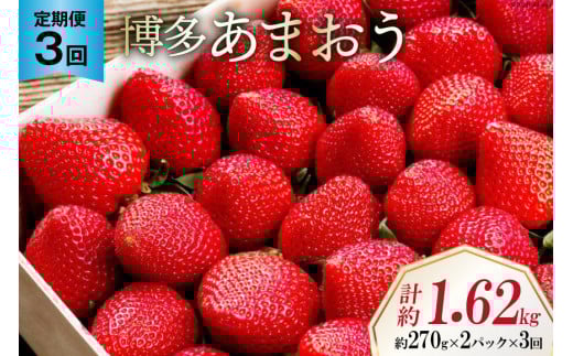 ystz y3  z   ܂ 270g×2pbN×3 v1.62kg  [GC`Aht[`[Y  }s 21760526] ʕ t[c  _ƒ ǂ VN Y