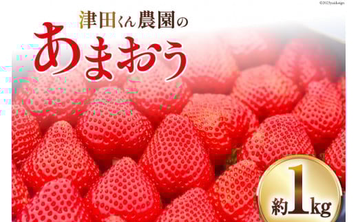 yԌ蔭z  Óc_̂܂ 1kg [  }s 21761180]  ܂ C`S  Ԍ蕟}s21000ʕEt[c