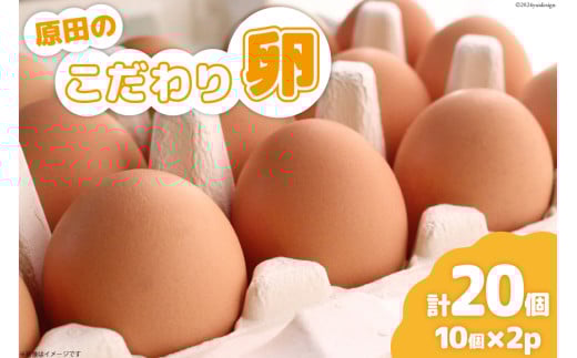  ĉ藑 10 2pbN v 20 [R芲j{{  }s 21760867] ܂  ʎq }s7000Eii{AG{j