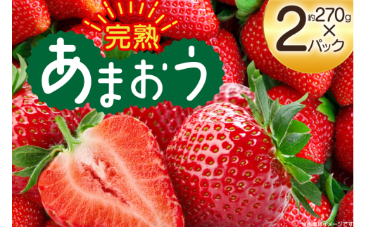 yԌ蔭z  n ܂ 270g 2p [mhshops  }s 21761027] C`S  t[c ʕ  2pbN}s11000ʕEt[c