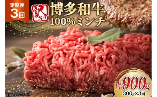 ~` 󂠂 a 100% ~` ғ 300g 3  [ؑHi  }s 21761201] Ђ ҂ Ⓚ }s21000
