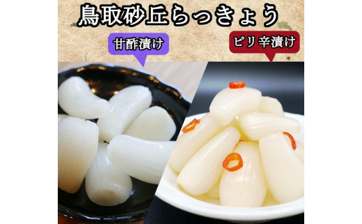 ふぞろいらっきょう甘酢/ピリ辛漬け 詰め合わせ 190gx10袋入【低温熟成 無添加】愛知県稲沢市24000鍋セット・総菜・加工食品漬物・梅干・キムチ