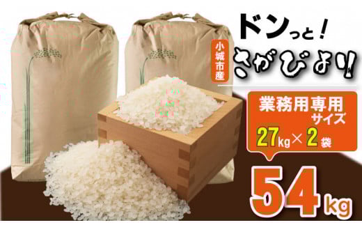 令和6年度産 佐賀ブランド米「さがびより」(白米)54kg(27kg×2)  大坪精米所佐賀県小城市100000米・パン白米