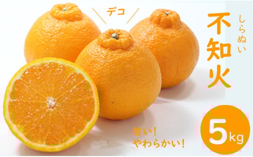 【先行予約】ご家庭用 不知火(しらぬい)5kg 頭のデコが ぽん とした サクサクの甘い食感 みかん 柑橘佐賀県小城市14000果物・フルーツみかん・柑橘類