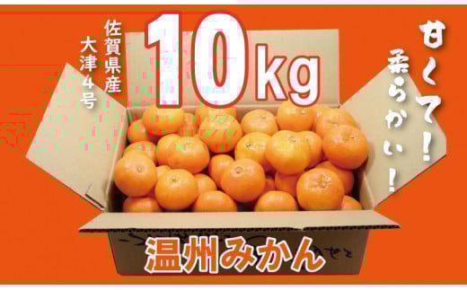 【先行予約】大好評!ご家庭用 大津みかん(10kg)コタツで甘いみかん!柑橘 温州佐賀県小城市18000果物・フルーツみかん・柑橘類