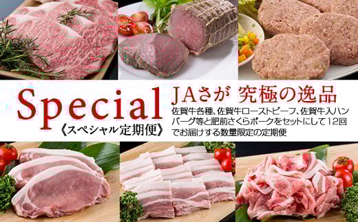 【定期便】 佐賀牛と肥前さくらポークのフルコース定期便(12ヶ月連続お届け)  JA佐賀県小城市410000肉牛肉