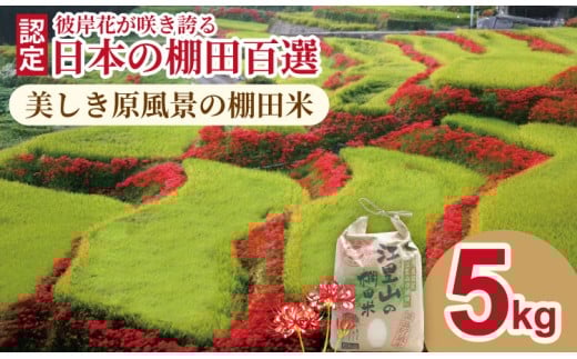日本の棚田百選選定 令和7年産 江里山(えりやま)の棚田米 5kg佐賀県小城市15000米・パン白米