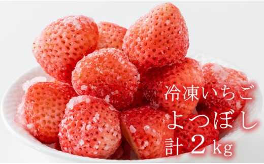 新種「よつぼし」冷凍いちご(2kg)しもむら農園佐賀県小城市13000果物・フルーツいちご