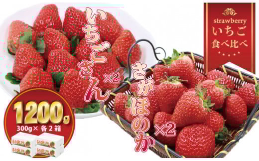 ق̂22Zbgiv4jӂ邩_ 䕍ꌧs13000ʕEt[c