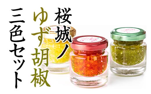 桜城ノゆず胡椒(3色セット)佐賀県小城市7500調味料・油