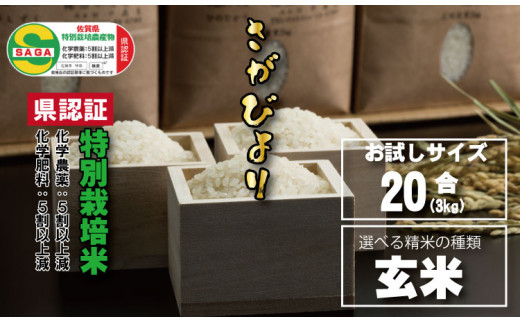 令和6年度産  佐賀県認定 特別栽培米 味試し!さがびより20合(3kg)田中農場 (玄米)佐賀県小城市7000米・パン白米