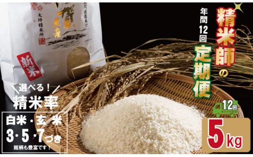 yցz (12A͂) ؐď uhĒցi5kg×12j Iׂ鐸ėiāE3.5.7ÂEājꌧs144000āEp