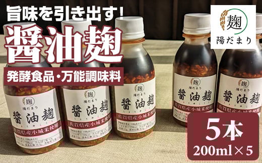 旨味を引き出す醤油麹5本セット 発酵食品 オーガニック そよかぜ佐賀県小城市15000鍋セット・総菜・加工食品その他 鍋セット・総菜・加工食品