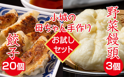 【お試しセット】小城の母ちゃんの手作りぎょうざ(特製タレ付き)、野菜まんじゅうセット 餃子 無添加佐賀県小城市8500鍋セット・総菜・加工食品総菜