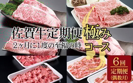 【定期便】佐賀牛極みコース 隔月(2ヶ月に1度 偶数月) お肉の定期便 A5〜A4  つるや食品佐賀県小城市224000肉牛肉