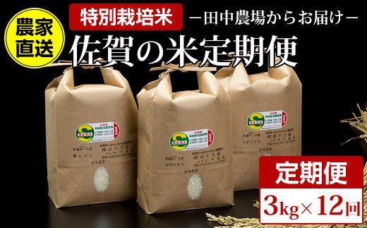 【定期便】(12ヶ月連続お届け)  田中農場 特別栽培認定 佐賀米3kg X 12回コース佐賀県小城市70000米・パン白米