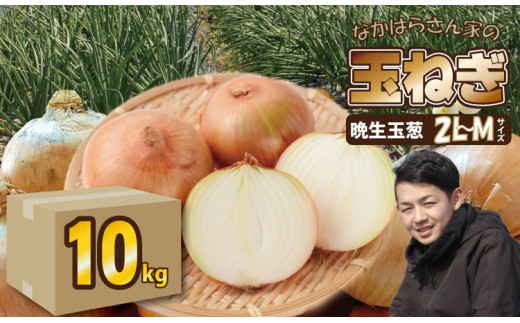 【先行予約受付中】タマネギ(晩生玉ねぎ)なかはら農園 (10kg)サイズ2L〜Mサイズ (たまねぎ、玉葱)佐賀県小城市7000野菜・きのこ玉ねぎ・ねぎ