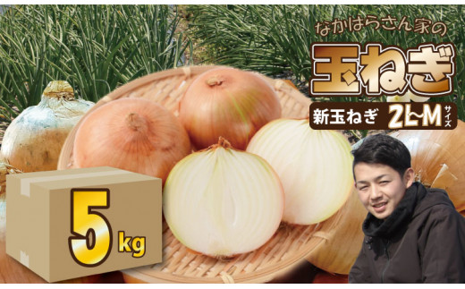 【先行予約受付中】タマネギ(新玉ねぎ)なかはら農園 (5kg)サイズ2L〜Mサイズ (たまねぎ、玉葱)佐賀県小城市5000野菜・きのこ玉ねぎ・ねぎ