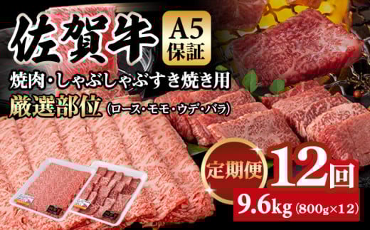 【定期便】佐賀牛 A5  焼肉・しゃぶしゃぶすき焼き 厳選部位 合計800g(400g x 各1P)12回定期 計9.6kg(800gx12) 桑原畜産 小分け ブランド牛 黒毛和牛 人気 高評価 佐賀県 小城市佐賀県小城市252000肉