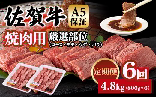 【定期便】佐賀牛 A5 焼肉用 厳選部位 800g 6回定期 計4.8kg(800gx6) 桑原畜産 ブランド牛 小分け 赤身 黒毛和牛 高評価 牛肉 人気 佐賀県 小城市佐賀県小城市126000肉牛肉