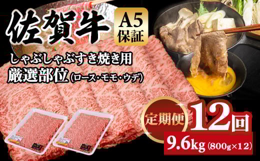 yցzꋍ A5 Ă Ԃ I 800g 12 v9.6kg(800gx12) K{Y uh  XCX јa lC ꌧ sꌧs252000