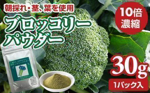 新鮮 朝採れ ブロッコリーパウダー30g お試しサイズ 栄養補助 機能性食品 濃縮 葉酸 ビタミン 離乳食 6次化商品 お菓子作り 野菜不足 社会福祉 就労支援 佐賀県 小城市佐賀県小城市5000鍋セッ
