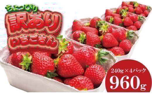 ys\ߘa8N1zJnz󂠂 s  ʏTCY i 240×So j960g ]_ _ i ʕ  t[cꌧs9000ʕEt[c