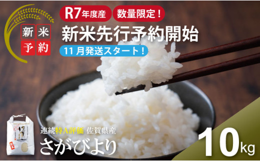 【先行予約 新米 受付開始】【数量限定】R7年度産 佐賀ブランド 米「さがびより」10kg(白米)【11月順次発送予定】 大坪精米所佐賀県小城市28000米・パン白米