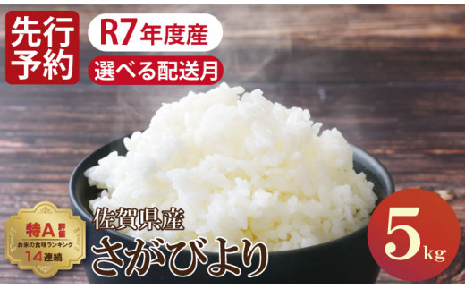 【12月出荷】先行予約 佐賀ブランド米「さがびより」5kg(5kg×1)潮風F佐賀県小城市16000米・パン白米