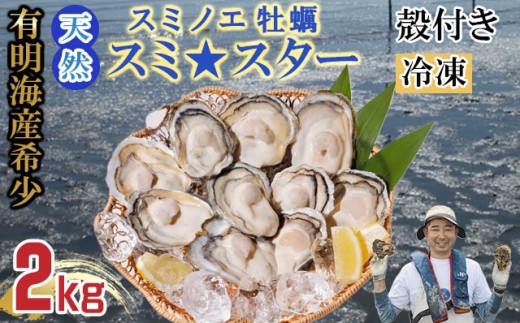 天然 有明海産「冷凍スミノエ牡蠣」スミ☆スター2Kg 殻付き牡蠣 加熱調理用 はしま海苔佐賀県小城市11000魚介・海産物貝類