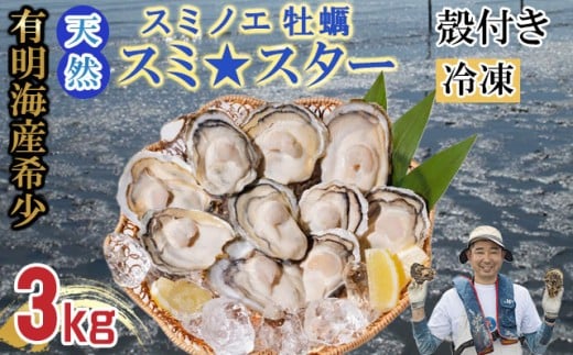 天然 有明海産「冷凍スミノエ牡蠣」スミ☆スター3Kg 殻付き牡蠣 加熱調理用 はしま海苔佐賀県小城市16000魚介・海産物貝類