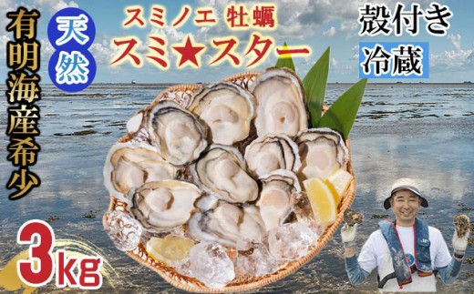 【4月配送】【先行予約】天然 有明海産「冷蔵スミノエ牡蠣」スミ☆スター3Kg 殻付き牡蠣 はしま海苔佐賀県小城市16000魚介・海産物貝類