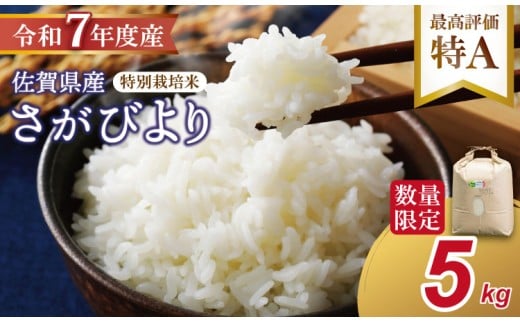 【新米予約】R7年度産(令和7年)特別栽培米 佐賀ブランド 米「 さがびより 」(5kg)田中農場 精米 白米 5キロ  単位 もちもち 食感 冷めても 美味しい お一人様 ご家族用 ランキング 特A
