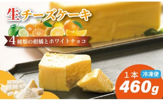 おりしま生チーズケーキ(460g)4種類の柑橘とホワイトチョコ、濃厚チーズがとろける ケーキ 冷凍便 ユニコ 佐賀県産小麦粉「春風」使用 お祝い クリーミー デザート スイーツ プレゼン