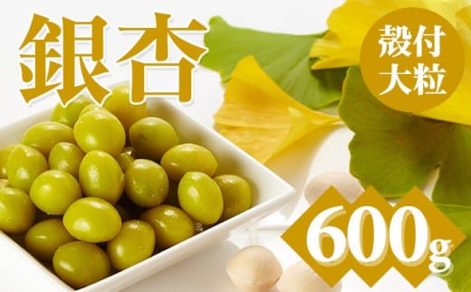 嗱 (kt) 600g ]H Ȃ G {̐H H̖o q ` ꌧ sꌧs6000؁Ê̑ 